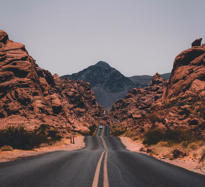 Kate Middleton Channels Back-to-School Elegance in a Tartan Dress